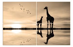 Obraz na plátně - Žirafy silueta 1919FD (150x100 cm)