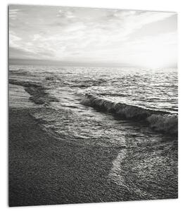 Obraz - Na břehu moře (30x30 cm)