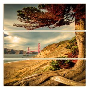 Obraz na plátně - Golden Gate Bridge - čtverec 3922FC (105x105 cm)