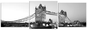 Obraz na plátně - Tower Bridge - panoráma 530ČD (150x50 cm)