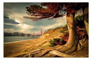Obraz na plátně - Golden Gate Bridge 1922FA (90x60 cm )