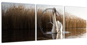 Obraz labutě (s hodinami) (90x30 cm)