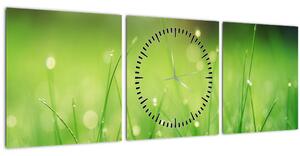 Obraz - rosa na trávě (s hodinami) (90x30 cm)