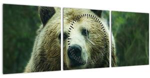 Obraz medvěda (s hodinami) (90x30 cm)