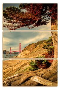 Obraz na plátně - Golden Gate Bridge - obdélník 7922FB (105x70 cm)