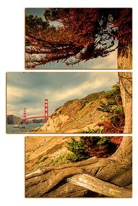 Obraz na plátně - Golden Gate Bridge - obdélník 7922FC (90x60 cm)