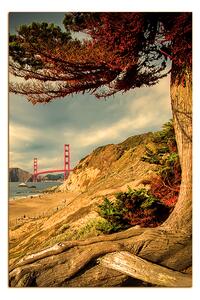 Obraz na plátně - Golden Gate Bridge - obdélník 7922FA (90x60 cm )