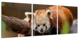 Obraz pandy červené (s hodinami) (90x30 cm)