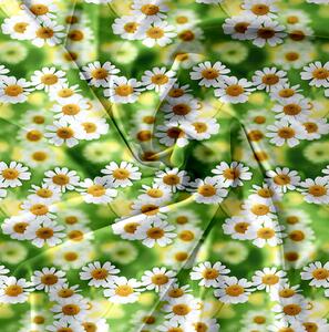 Povlečení z mikrovlákna CHAMOMILLA zelené Rozměr povlečení: 70 x 80 cm | 140 x 200 cm