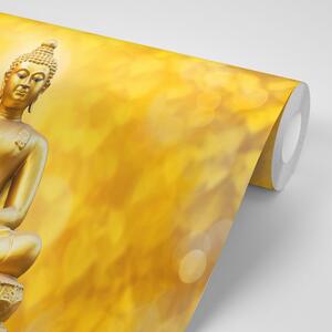Tapeta zlatá socha Budhy