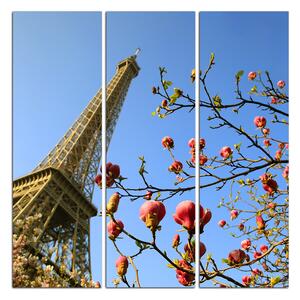 Obraz na plátně - Eiffelova věž v jarním období - čtverec 334B (75x75 cm)