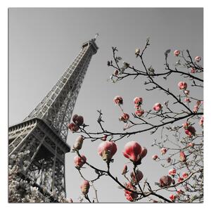 Obraz na plátně - Eiffelova věž v jarním období - čtverec 334ČA (50x50 cm)