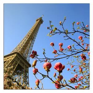 Obraz na plátně - Eiffelova věž v jarním období - čtverec 334A (50x50 cm)