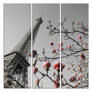 Obraz na plátně - Eiffelova věž v jarním období - čtverec 334ČB (105x105 cm)
