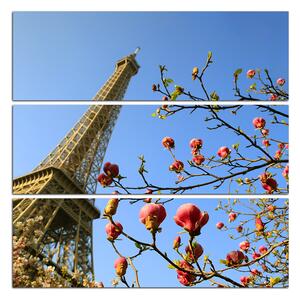 Obraz na plátně - Eiffelova věž v jarním období - čtverec 334C (105x105 cm)