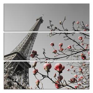 Obraz na plátně - Eiffelova věž v jarním období - čtverec 334ČC (105x105 cm)