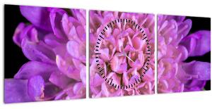 Detailní obraz květu (s hodinami) (90x30 cm)
