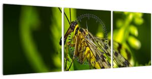 Obraz hmyzu (s hodinami) (90x30 cm)