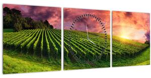 Obraz vinohradu s barevným nebem (s hodinami) (90x30 cm)