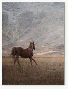 Hnědý kůň v horské krajině – Jednodílný obraz, 30 × 40 cm