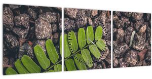 Obraz zelené rostliny (s hodinami) (90x30 cm)