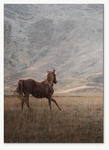 Hnědý kůň v horské krajině – Jednodílný obraz, 50 × 70 cm