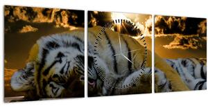 Obraz spícího tygra (s hodinami) (90x30 cm)