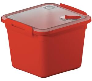 Rotho M/L - Plastový box, krabička, dóza, do mikrovlnky Rotho MEMORY, 1,6l, červená