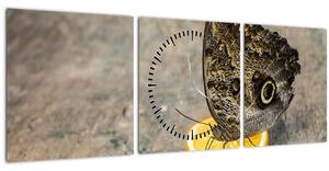 Obraz motýla (s hodinami) (90x30 cm)