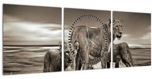 Obraz černobílých lvů (s hodinami) (90x30 cm)