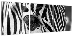 Obraz zebry (s hodinami) (90x30 cm)