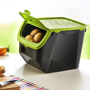 Orion Skladovací box na cibuli a brambory, 12L, zelený 730513