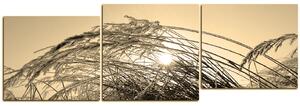 Obraz na plátně - Zimní ráno - panoráma 545FD (150x50 cm)