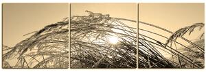 Obraz na plátně - Zimní ráno - panoráma 545FB (150x50 cm)