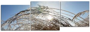 Obraz na plátně - Zimní ráno - panoráma 545D (90x30 cm)