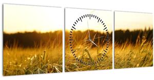 Obraz orosené trávy (s hodinami) (90x30 cm)