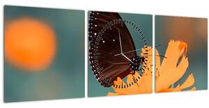 Obraz - motýl na oranžové květině (s hodinami) (90x30 cm)