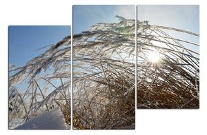 Obraz na plátně - Zimní ráno 145C (150x100 cm)