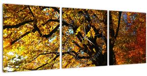 Obraz podzimního stromu (s hodinami) (90x30 cm)