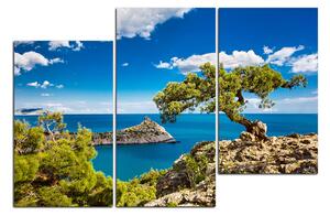 Obraz na plátně - Borovice na útesu 149D (150x100 cm)