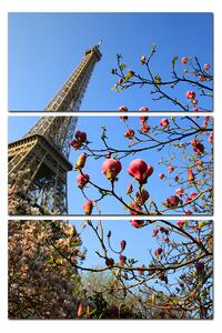 Obraz na plátně - Eiffelova věž v jarním období - obdélník 734B (90x60 cm )
