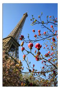 Obraz na plátně - Eiffelova věž v jarním období - obdélník 734A (120x80 cm)