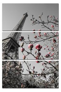 Obraz na plátně - Eiffelova věž v jarním období - obdélník 734ČB (90x60 cm )