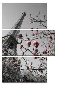 Obraz na plátně - Eiffelova věž v jarním období - obdélník 734ČC (105x70 cm)