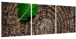 Obraz listu na kmeni stromu (s hodinami) (90x30 cm)