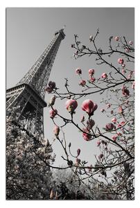 Obraz na plátně - Eiffelova věž v jarním období - obdélník 734ČA (90x60 cm )