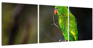 Obraz papouška na větvi (s hodinami) (90x30 cm)