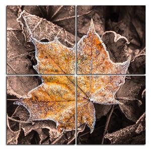 Obraz na plátně - Javorové listí - čtverec 353FD (60x60 cm)