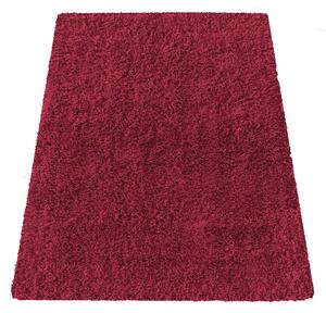 DY Červený neklouzavý koberec shaggy Camel Rozměr: 200x290 cm