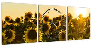 Obraz slunečnicového pole (s hodinami) (90x30 cm)